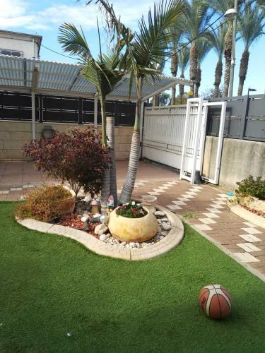 עיצוב גינות בשילוב דשא סינטטי